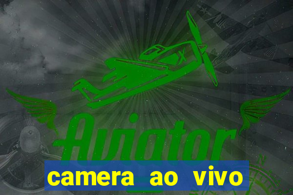 camera ao vivo beto carrero